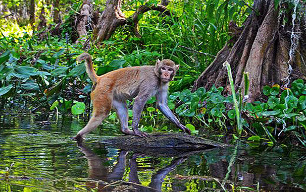 eco-tour eco-tour